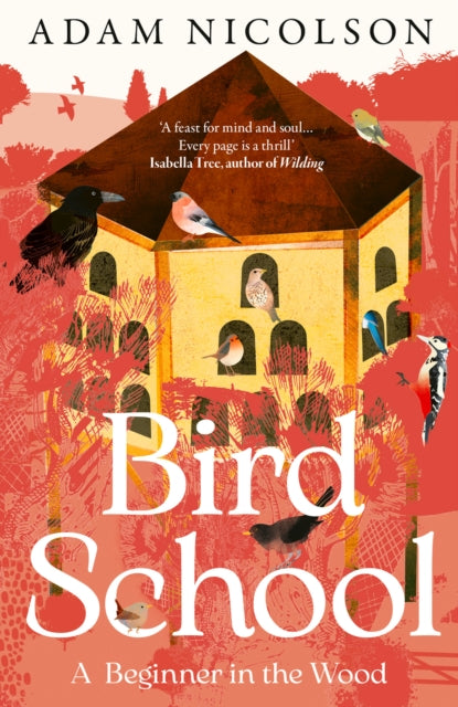 Bird School : A Beginner in the Wood-9780008490874