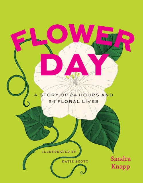 Flower Day : A Story of 24 Hours and 24 Floral Lives-9780226834528