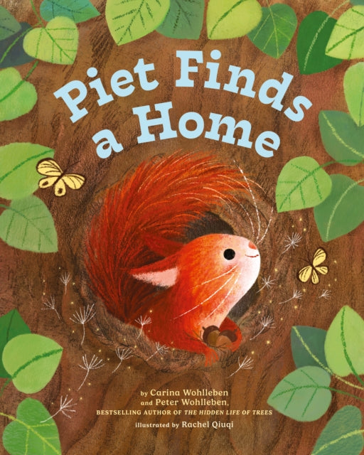 Piet Finds A Home-9781778400292