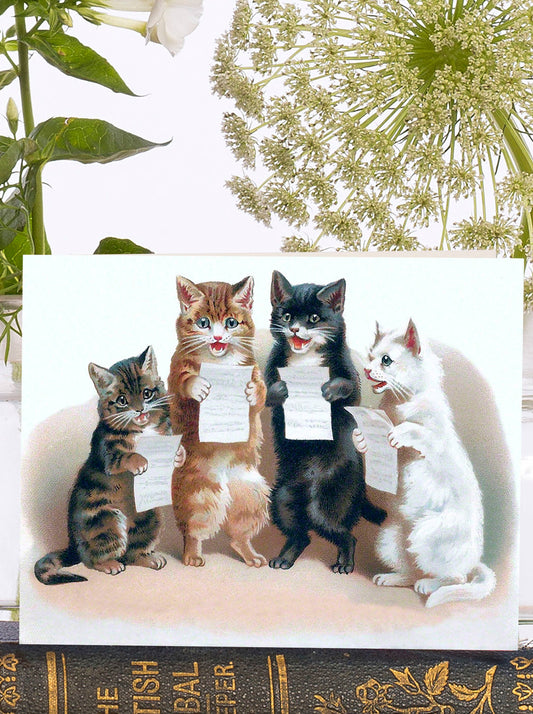 Cats Choir