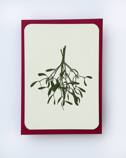 Mistletoe