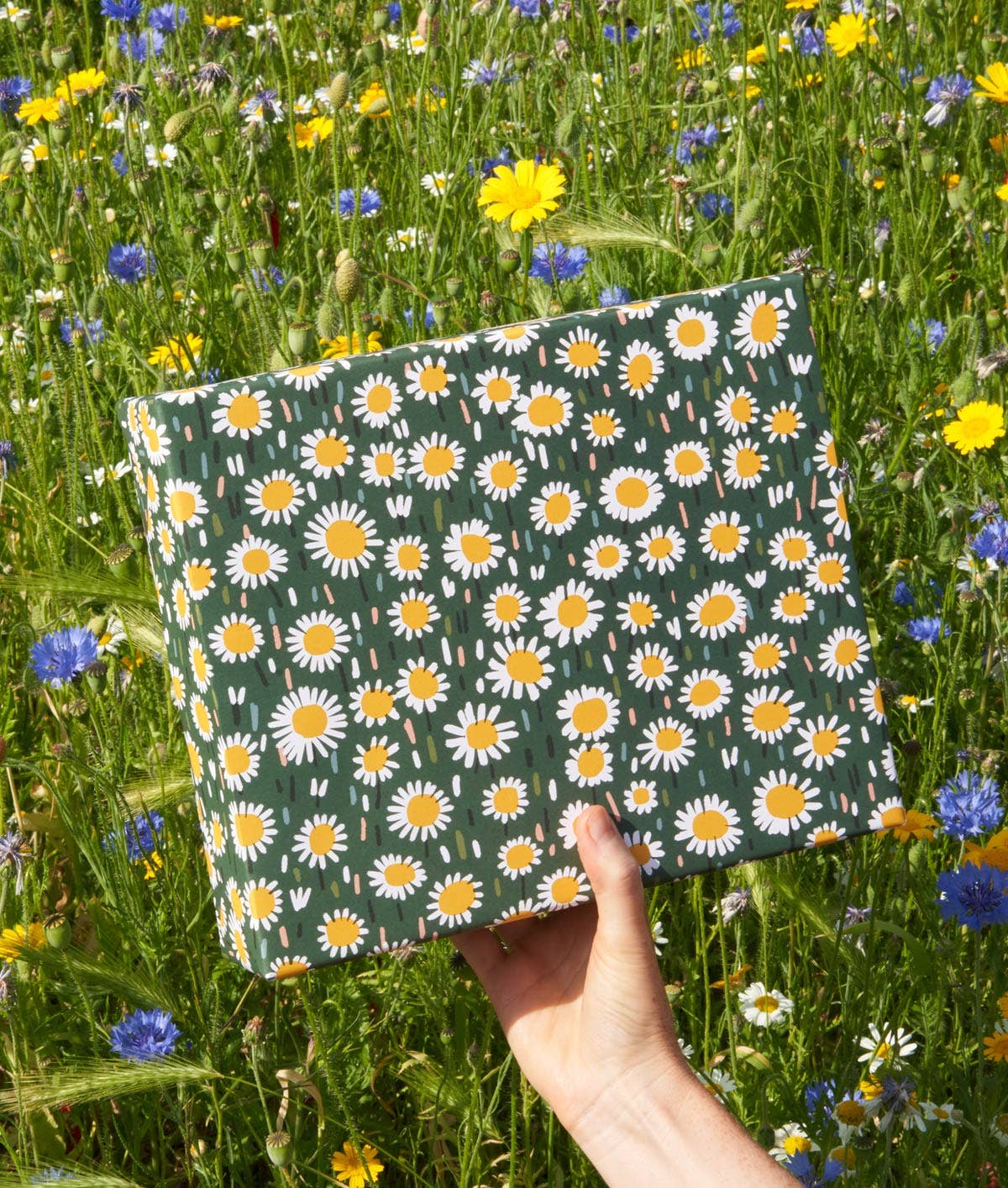 Daisies Gift Wrap
