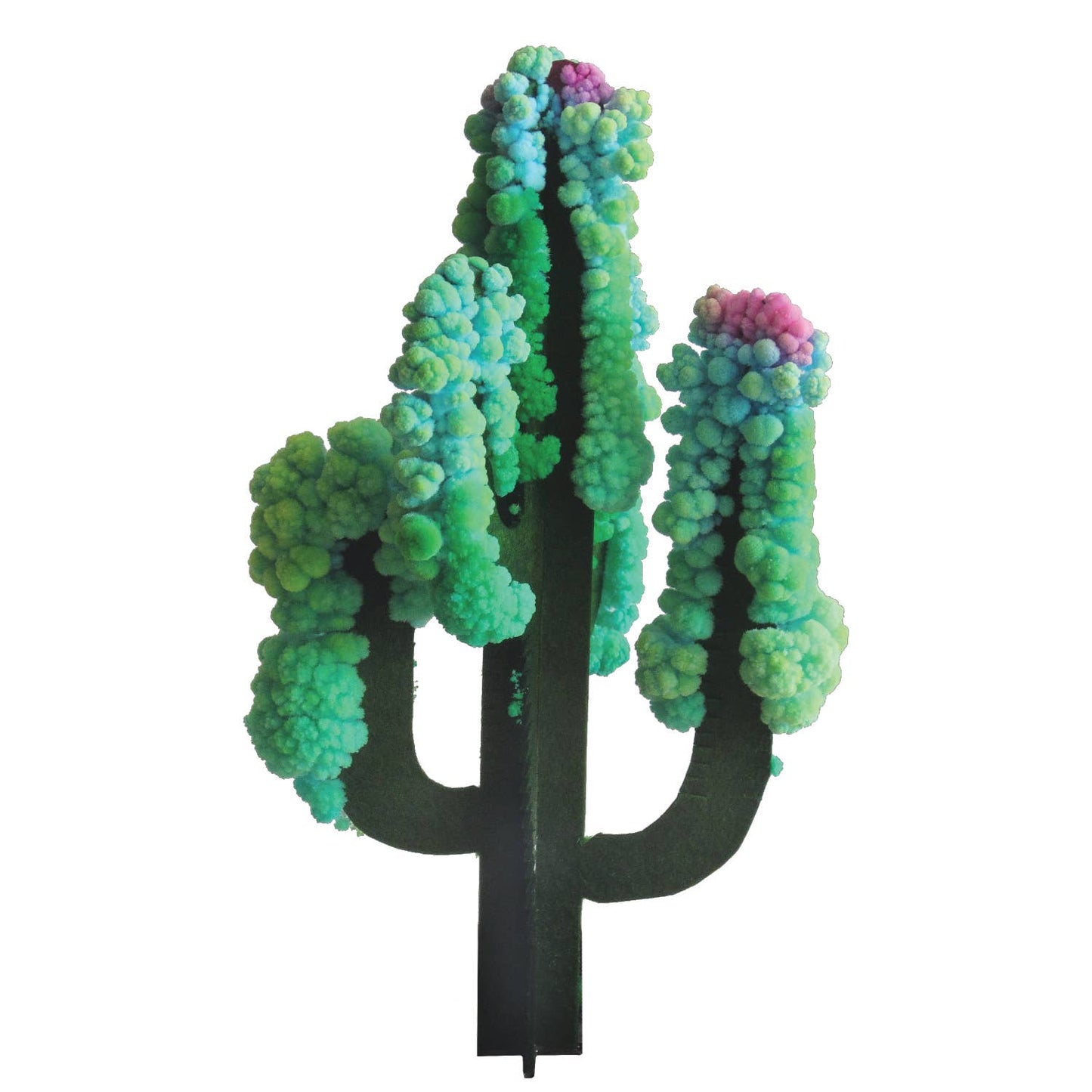 Science Kit - Crystal Growing Saguaro Cactus | Craft Kit