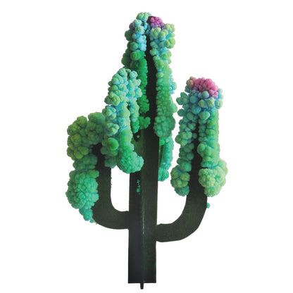Science Kit - Crystal Growing Saguaro Cactus | Craft Kit