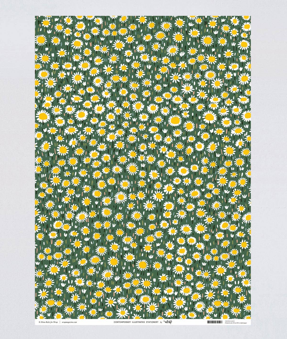 Daisies Gift Wrap