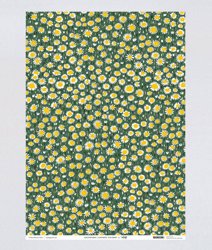 Daisies Gift Wrap