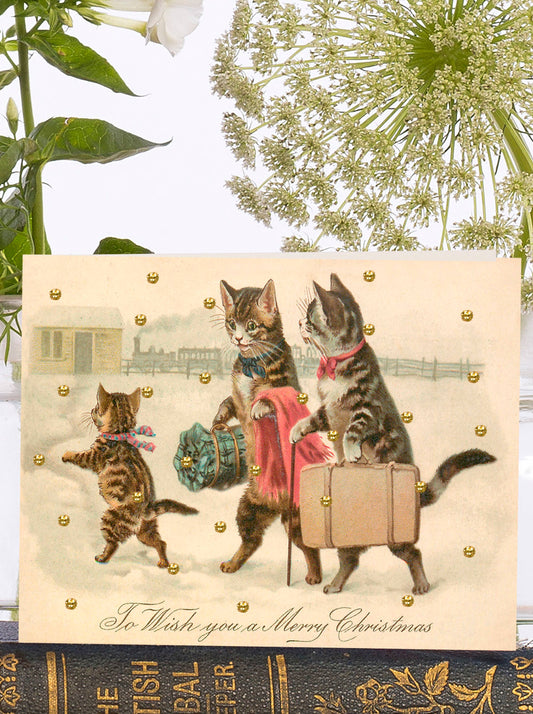 Christmas Cats with Glitter