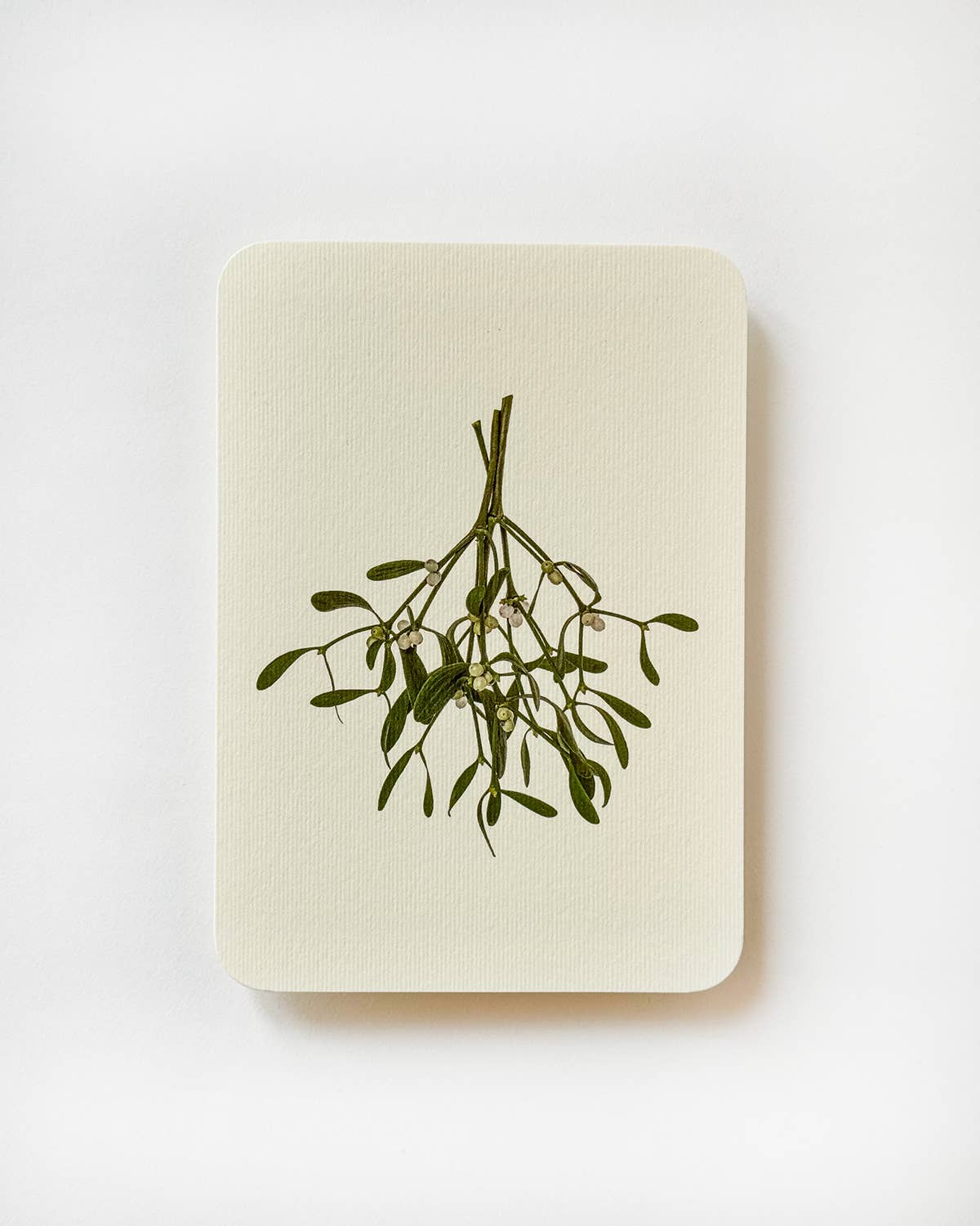 Mistletoe