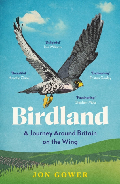 Birdland : A Journey Around Britain on the Wing-9780008688219