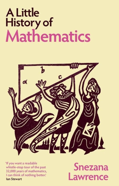 A Little History of Mathematics-9780300286984