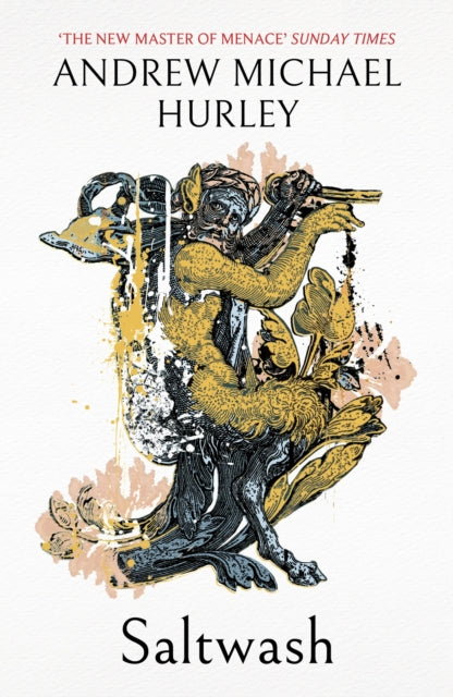 Saltwash : The chilling new novel from the 'master of menace'-9781399817554