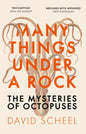 Many Things Under a Rock : The ‘mind-blowing’ book that reveals the mysteries of the octopus, perfect reading for summer 2025-9781529392647