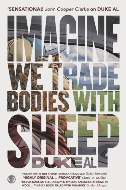 Imagine we trade bodies with sheep-9781739660970