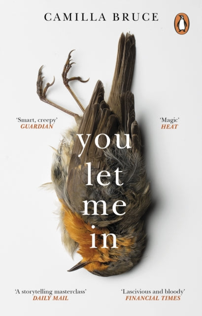 You Let Me In : The acclaimed, unsettling novel of haunted love, revenge and the nature of truth-9781784164508