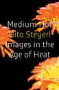 Medium Hot : Images in the Age of Heat-9781804298039