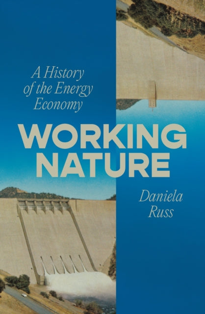 Working Nature : A History of the Energy Economy-9781804298978
