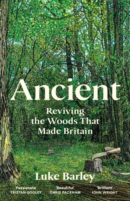 Ancient : Reviving the Woods That Made Britain-9781805222231