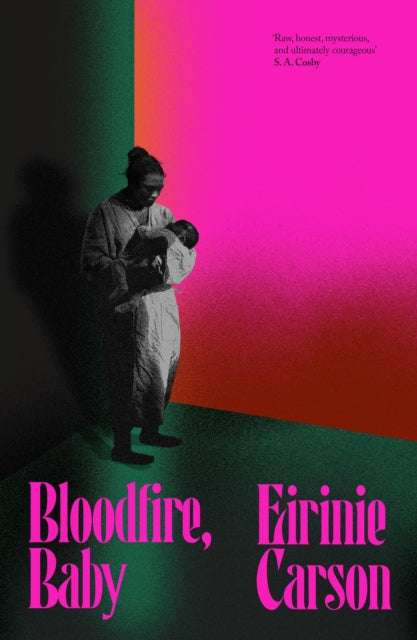 Bloodfire, Baby : a gothic tale about motherhood, ghosts and heritage-9781835986684