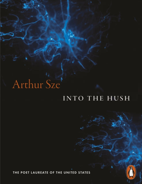 Into the Hush-9781837312252