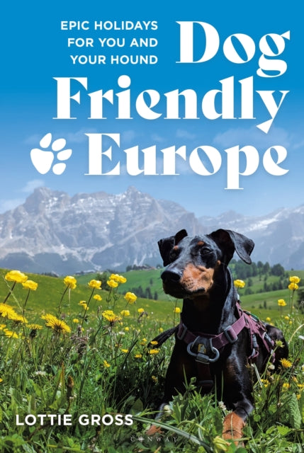 Dog-Friendly Europe : Epic holidays for you and your hound-9781844867042