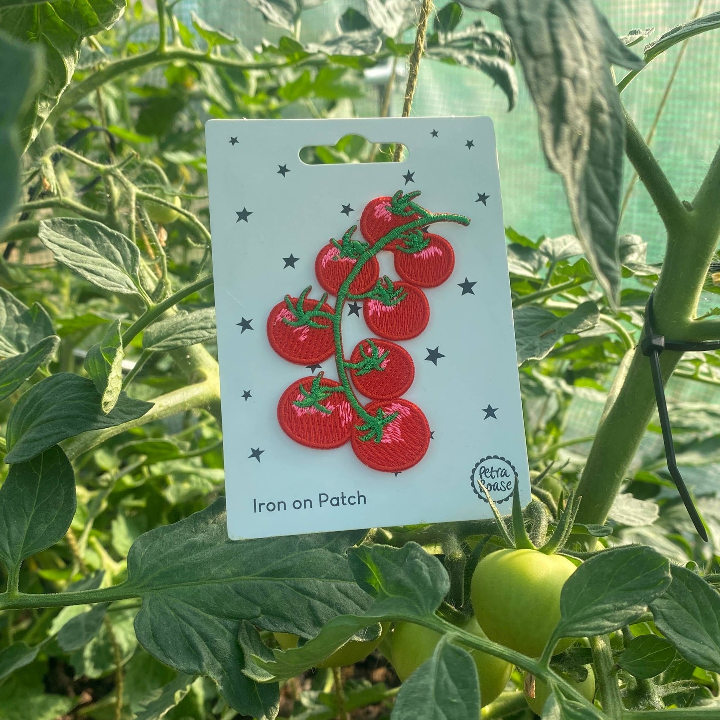 Tomato