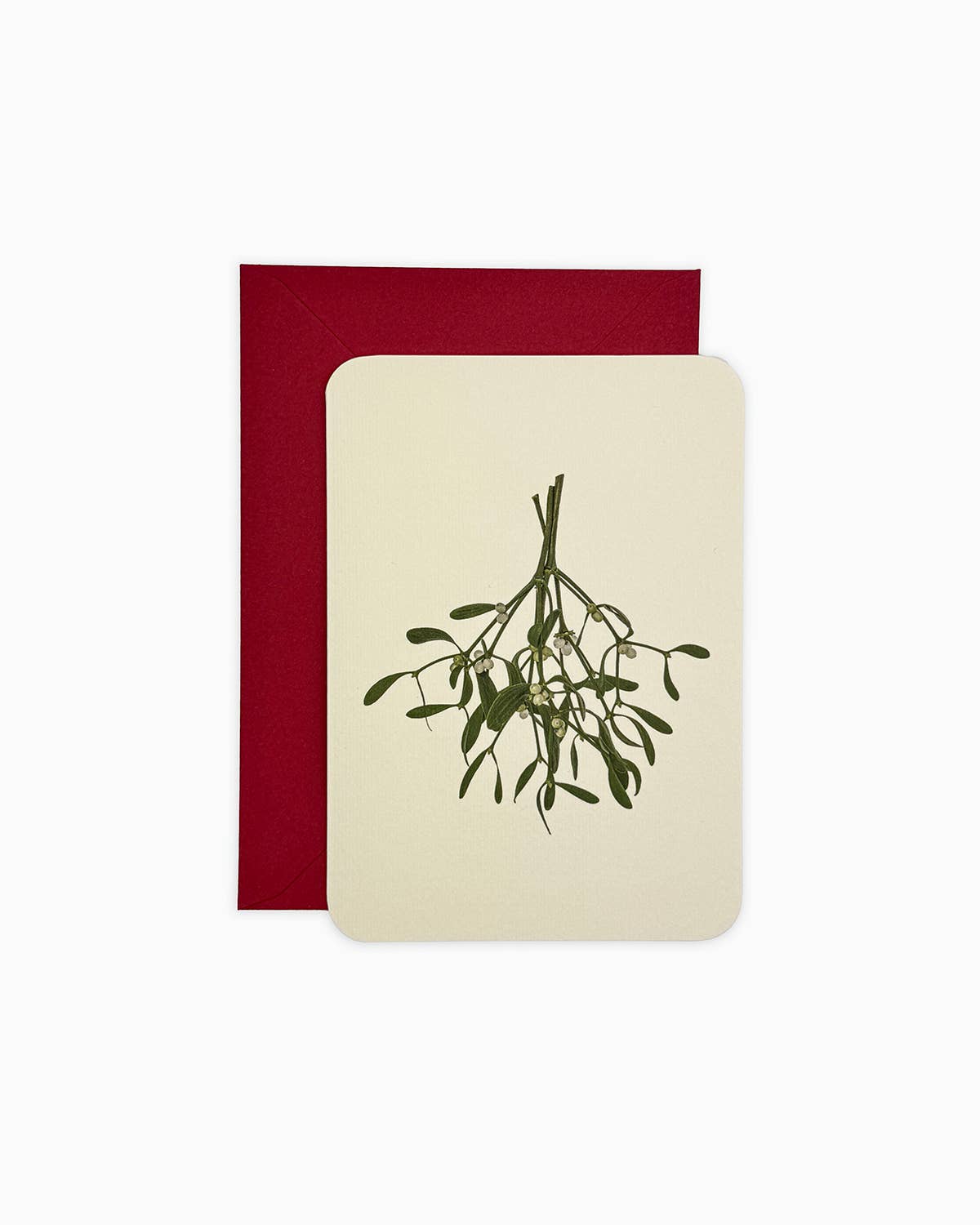 Mistletoe