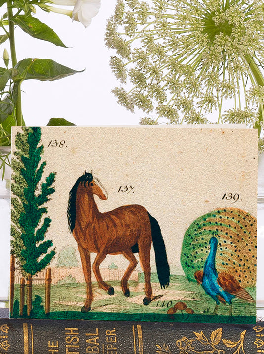 Tree, Horse, Peacock