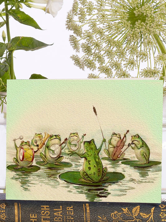 Frog Orchestra
