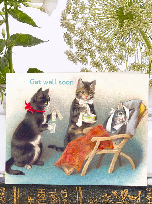 Poor Kitty - Get Well Soon