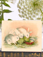 Bunnies!