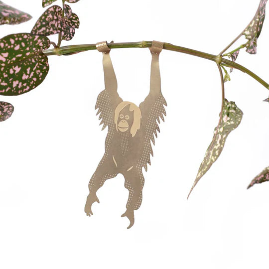 Plant Animals